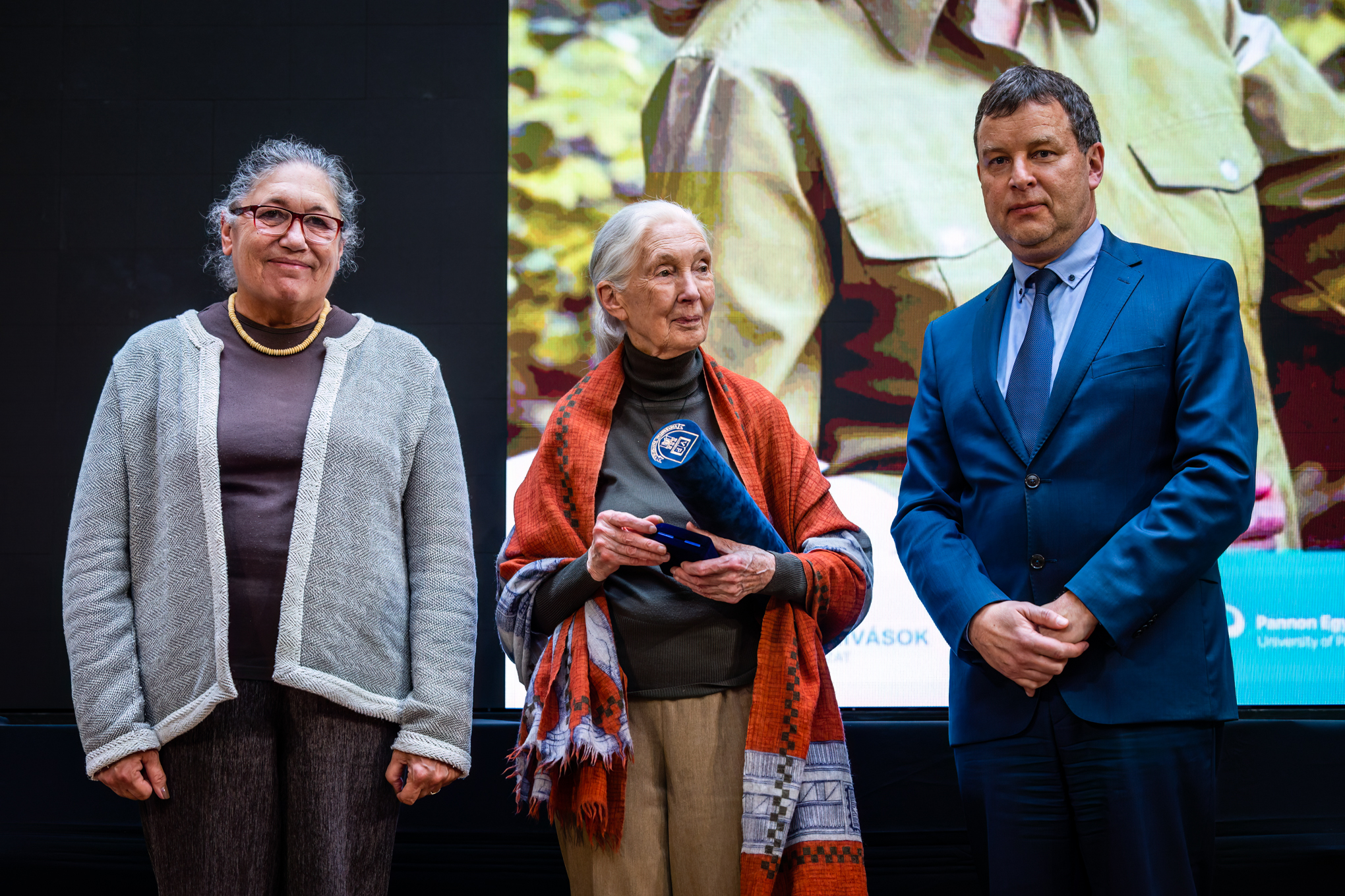 Pesthy Márton IMG 5773 